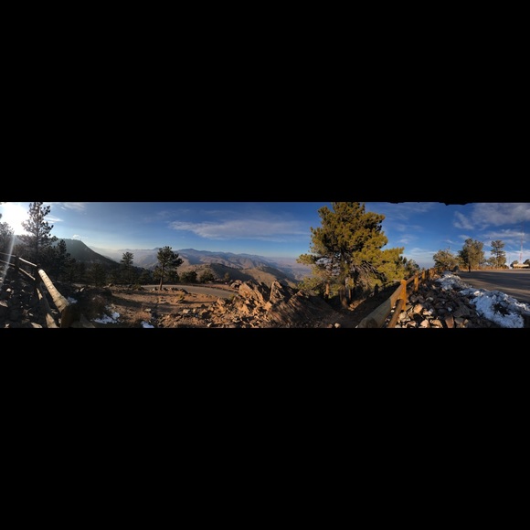 Meet your Posher, Bolee - Picture 1 of 2